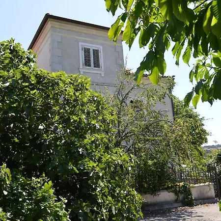 Flora Apartment